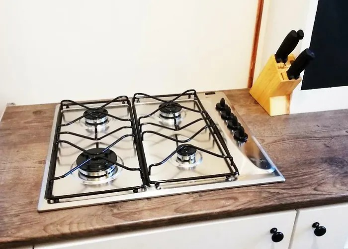 Willow Old Town Apartament Gdańsk